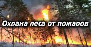 Дербентская межрайонная прокуратура разъясняет законодательство об охране лесов от пожаров..