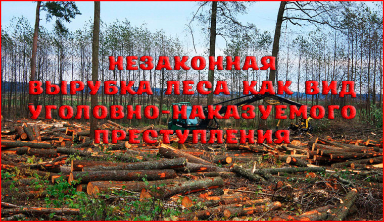 Обращения с незаконно заготовленной древесиной:. Обращения с незаконно заготовленной древесиной:.