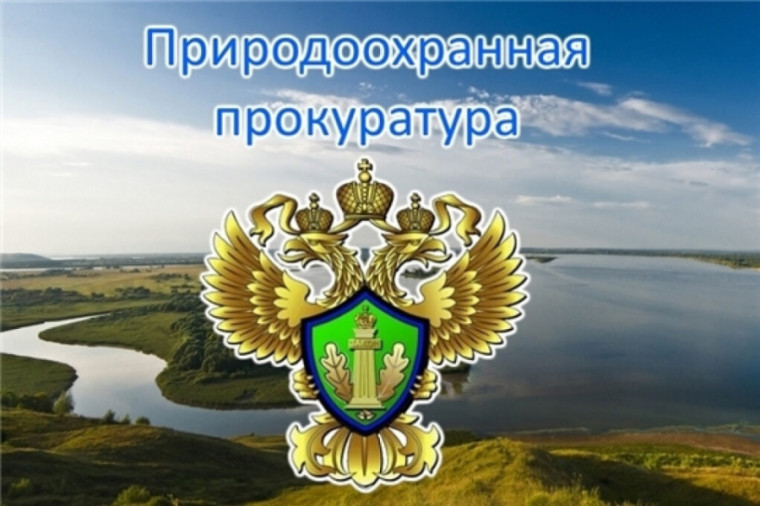 Дербентская межрайонная природоохранная прокуратура. Дербентская межрайонная природоохранная прокуратура.